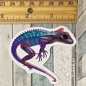 🌀10/$10🌀 Holography Reusable Waterproof Vinyl Sticker Decal